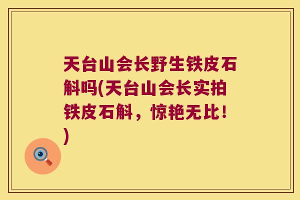 天台山会长野生铁皮石斛吗(天台山会长实拍铁皮石斛，惊艳无比！)
