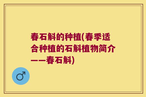 春石斛的种植(春季适合种植的石斛植物简介——春石斛)