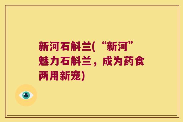 新河石斛兰(“新河”魅力石斛兰，成为药食两用新宠)