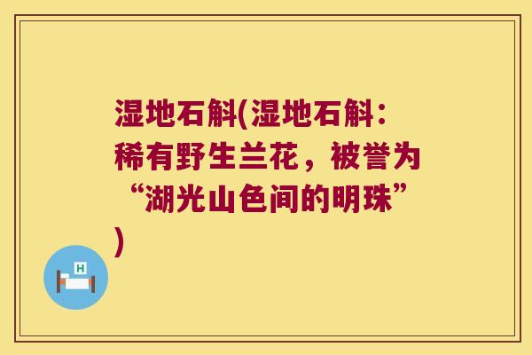 湿地石斛(湿地石斛：稀有野生兰花，被誉为“湖光山色间的明珠”)