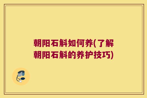 朝阳石斛如何养(了解朝阳石斛的养护技巧) 朝阳石斛如何养(了解朝阳石斛的养护技巧)