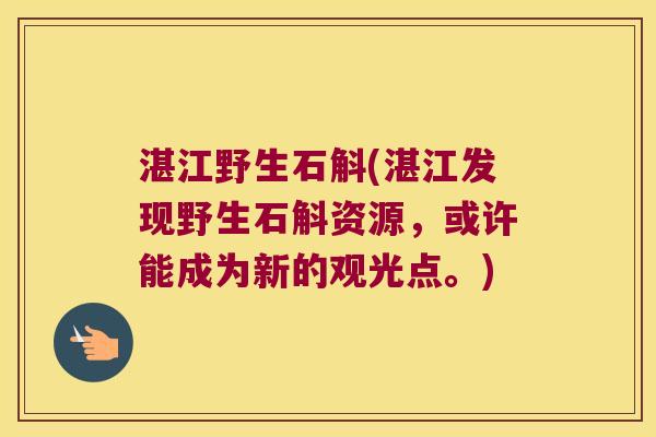 湛江野生石斛(湛江发现野生石斛资源，或许能成为新的观光点。)