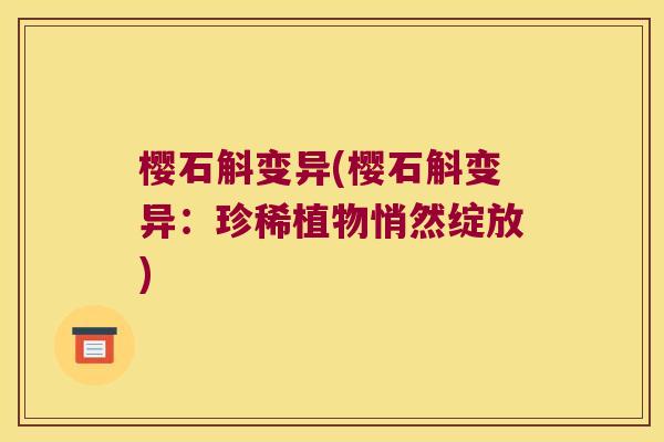 樱石斛变异(樱石斛变异：珍稀植物悄然绽放)