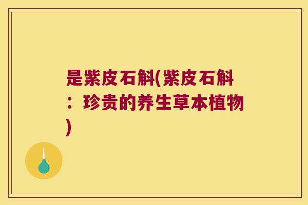 是紫皮石斛(紫皮石斛：珍贵的养生草本植物)