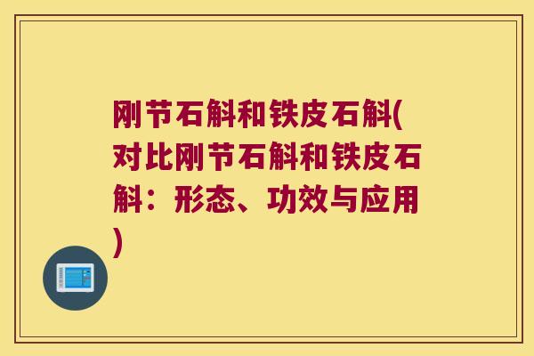 刚节石斛和铁皮石斛(对比刚节石斛和铁皮石斛：形态、功效与应用)