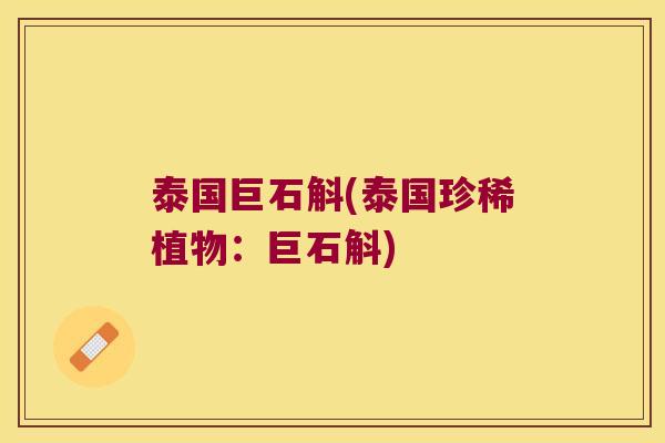 泰国巨石斛(泰国珍稀植物：巨石斛)