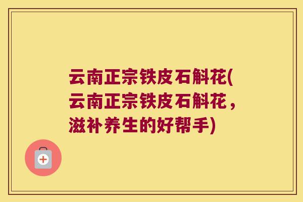 云南正宗铁皮石斛花(云南正宗铁皮石斛花，滋补养生的好帮手)