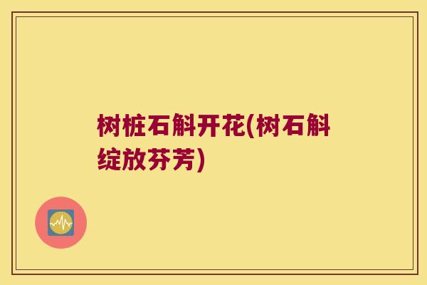 树桩石斛开花(树石斛绽放芬芳)
