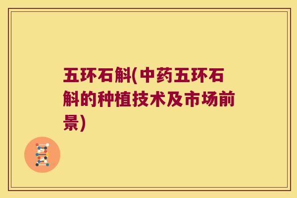 五环石斛(中药五环石斛的种植技术及市场前景)