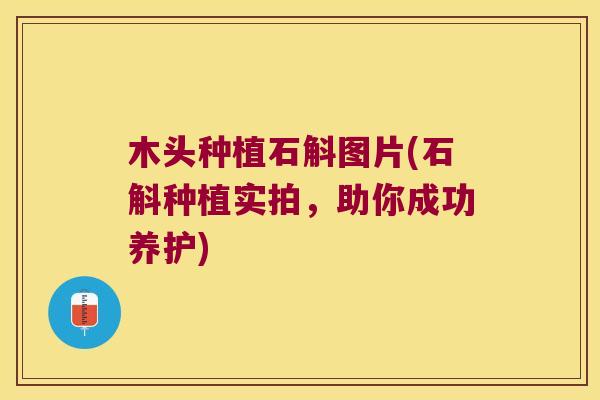 木头种植石斛图片(石斛种植实拍，助你成功养护)