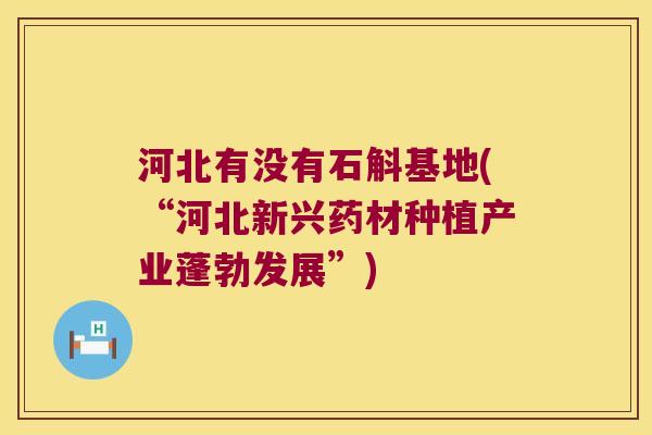 河北有没有石斛基地(“河北新兴药材种植产业蓬勃发展”)