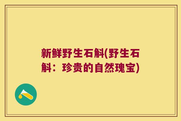新鲜野生石斛(野生石斛：珍贵的自然瑰宝)