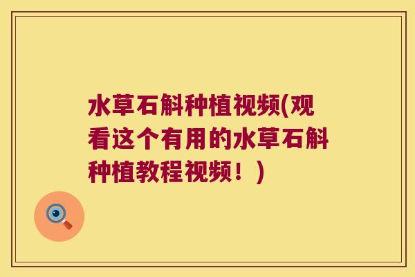 水草石斛种植视频(观看这个有用的水草石斛种植教程视频！)