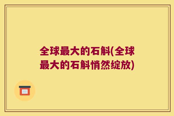 全球最大的石斛(全球最大的石斛悄然绽放)
