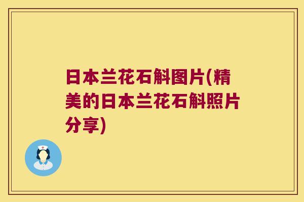 日本兰花石斛图片(精美的日本兰花石斛照片分享)