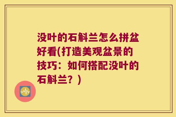 没叶的石斛兰怎么拼盆好看(打造美观盆景的技巧：如何搭配没叶的石斛兰？)