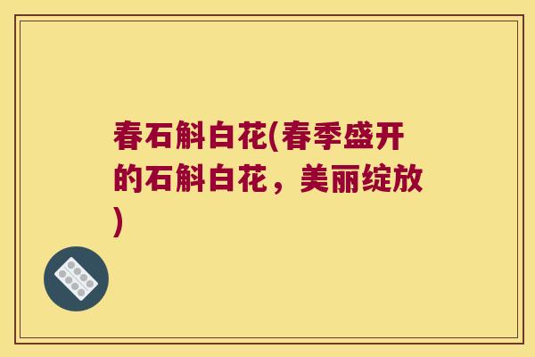 春石斛白花(春季盛开的石斛白花，美丽绽放)