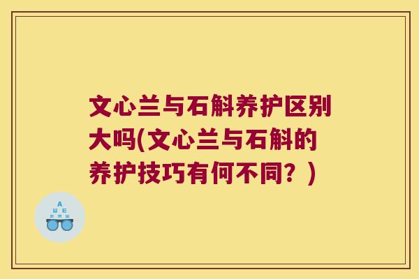 文心兰与石斛养护区别大吗(文心兰与石斛的养护技巧有何不同？)