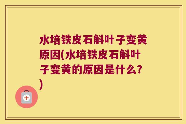 水培铁皮石斛叶子变黄原因(水培铁皮石斛叶子变黄的原因是什么？)