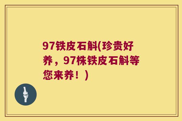 97铁皮石斛(珍贵好养，97株铁皮石斛等您来养！)