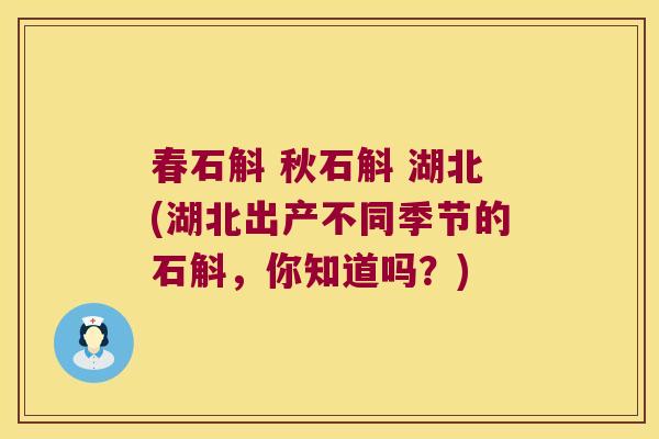 春石斛 秋石斛 湖北(湖北出产不同季节的石斛，你知道吗？)