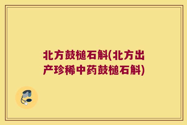 北方鼓槌石斛(北方出产珍稀中药鼓槌石斛)