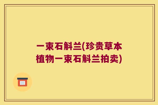 一束石斛兰(珍贵草本植物一束石斛兰拍卖) 一束石斛兰(珍贵草本植物一束石斛兰拍卖)