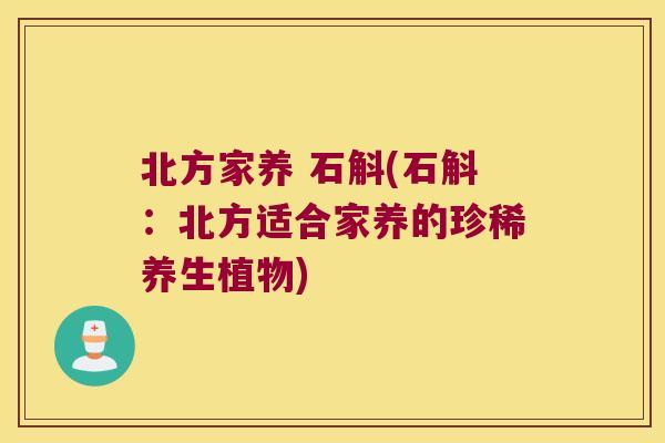 北方家养 石斛(石斛：北方适合家养的珍稀养生植物)