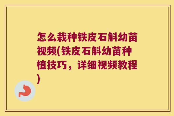 怎么栽种铁皮石斛幼苗视频(铁皮石斛幼苗种植技巧，详细视频教程)