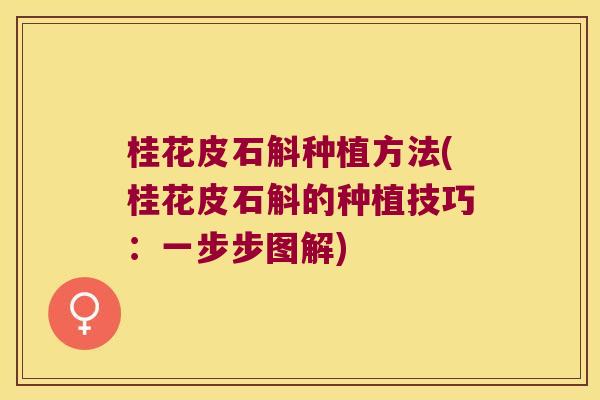 桂花皮石斛种植方法(桂花皮石斛的种植技巧:一步步图解) 桂花皮石斛种植方法(桂花皮石斛的种植技巧:一步步图解)