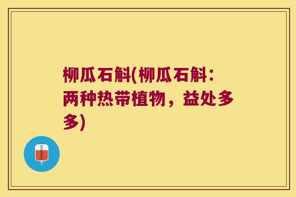 柳瓜石斛(柳瓜石斛：两种热带植物，益处多多)