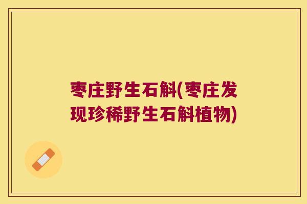 枣庄野生石斛(枣庄发现珍稀野生石斛植物)