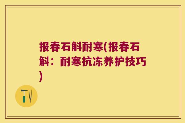 报春石斛耐寒(报春石斛：耐寒抗冻养护技巧)