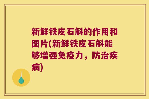 新鲜铁皮石斛的作用和图片(新鲜铁皮石斛能够增强免疫力，防治疾病)