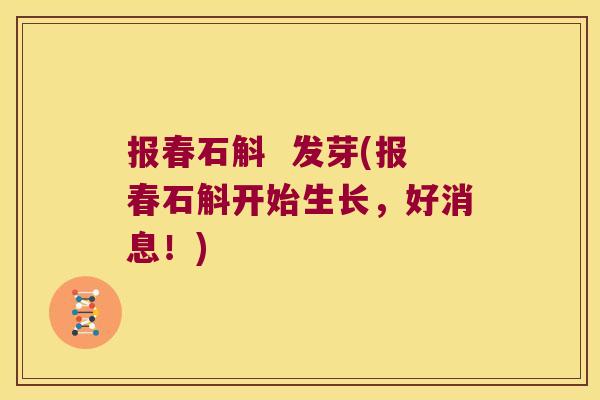 报春石斛  发芽(报春石斛开始生长，好消息！)