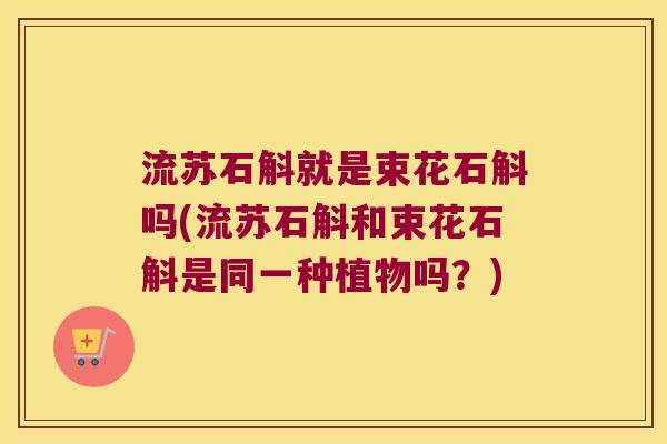 流苏石斛就是束花石斛吗(流苏石斛和束花石斛是同一种植物吗？)