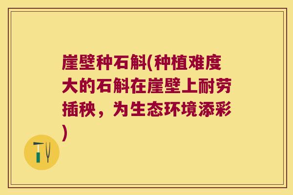 崖壁种石斛(种植难度大的石斛在崖壁上耐劳插秧，为生态环境添彩)