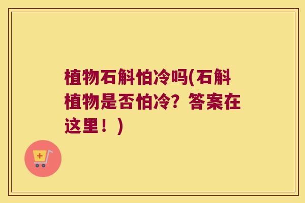 植物石斛怕冷吗(石斛植物是否怕冷?答案在这里!) 植物石斛怕冷吗(石斛植物是否怕冷?答案在这里!)