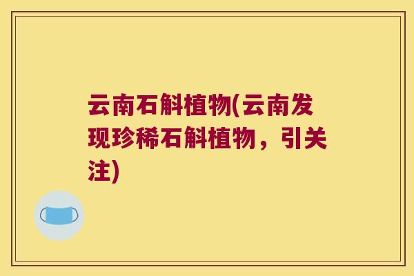 云南石斛植物(云南发现珍稀石斛植物，引关注)