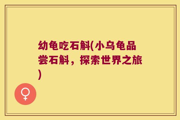 幼龟吃石斛(小乌龟品尝石斛,探索世界之旅) 幼龟吃石斛(小乌龟品尝石斛,探索世界之旅)