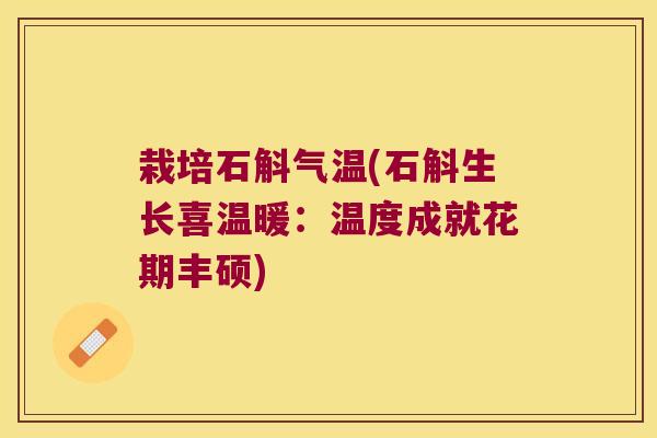 栽培石斛气温(石斛生长喜温暖：温度成就花期丰硕)
