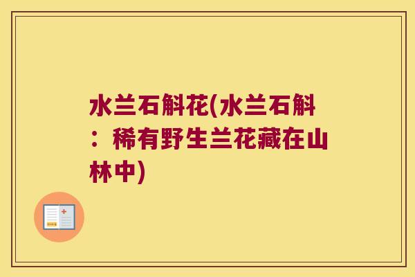 水兰石斛花(水兰石斛：稀有野生兰花藏在山林中)