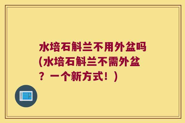 水培石斛兰不用外盆吗(水培石斛兰不需外盆？一个新方式！)