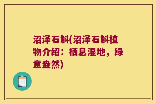 沼泽石斛(沼泽石斛植物介绍：栖息湿地，绿意盎然)