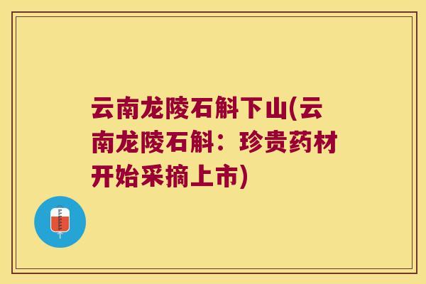 云南龙陵石斛下山(云南龙陵石斛：珍贵药材开始采摘上市)