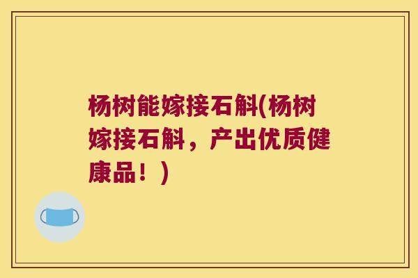 杨树能嫁接石斛(杨树嫁接石斛，产出优质健康品！)