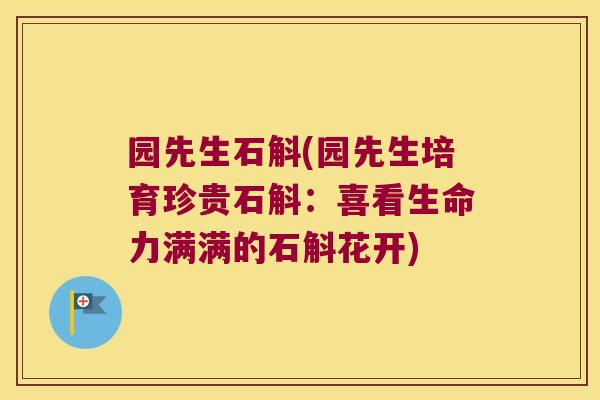 园先生石斛(园先生培育珍贵石斛：喜看生命力满满的石斛花开)