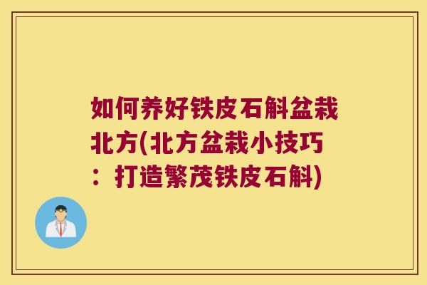 如何养好铁皮石斛盆栽北方(北方盆栽小技巧：打造繁茂铁皮石斛)