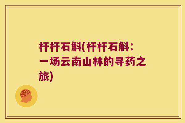杆杆石斛(杆杆石斛：一场云南山林的寻药之旅)