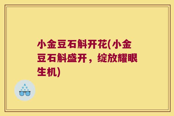 小金豆石斛开花(小金豆石斛盛开，绽放耀眼生机)